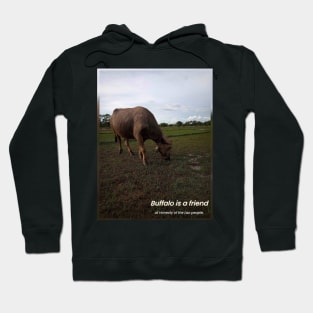 Buffalo Hoodie